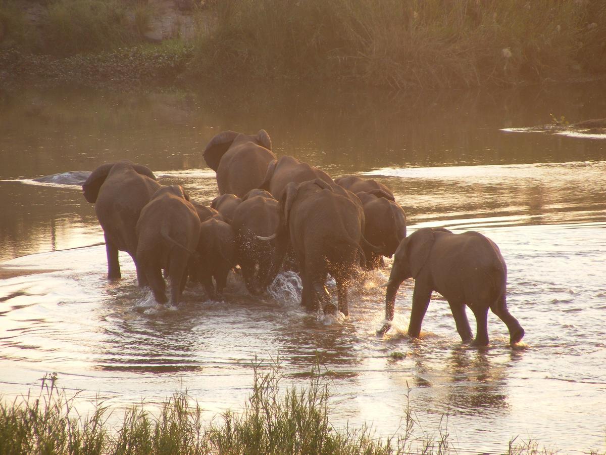 Elephant Walk Retreat Komatipoort Exterior photo